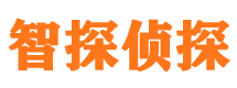 元氏外遇调查取证